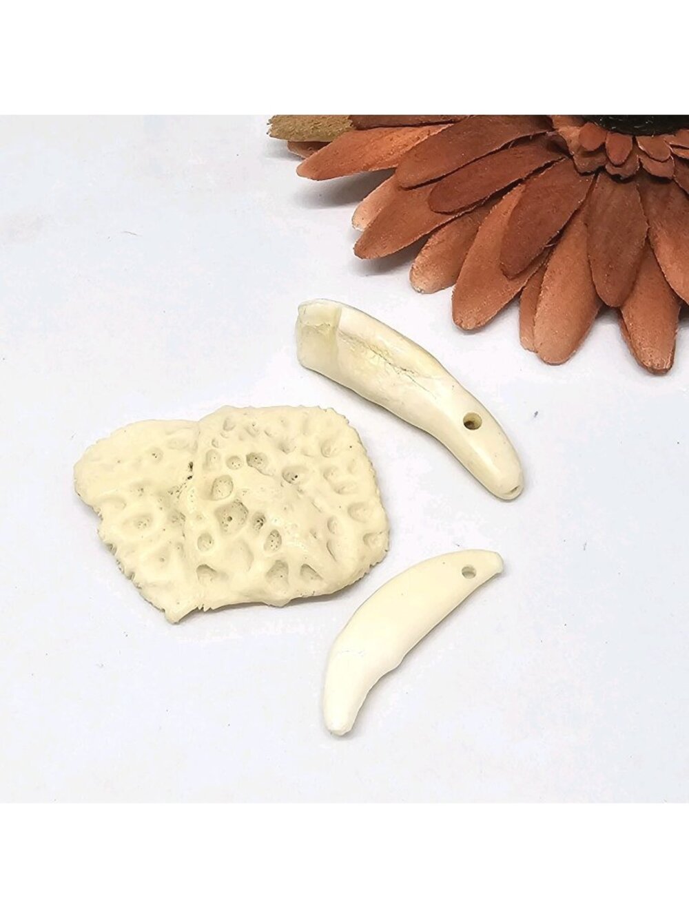 2 Drilled Genuine White Buffalo & Coyote Teeth + Alligator Scute Beads Pendants